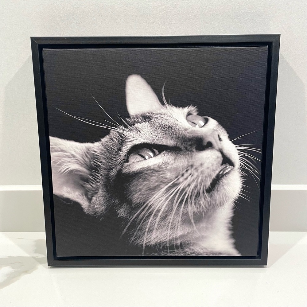 NEW Hometrends Modern Cat Framed Canvas Wall Art